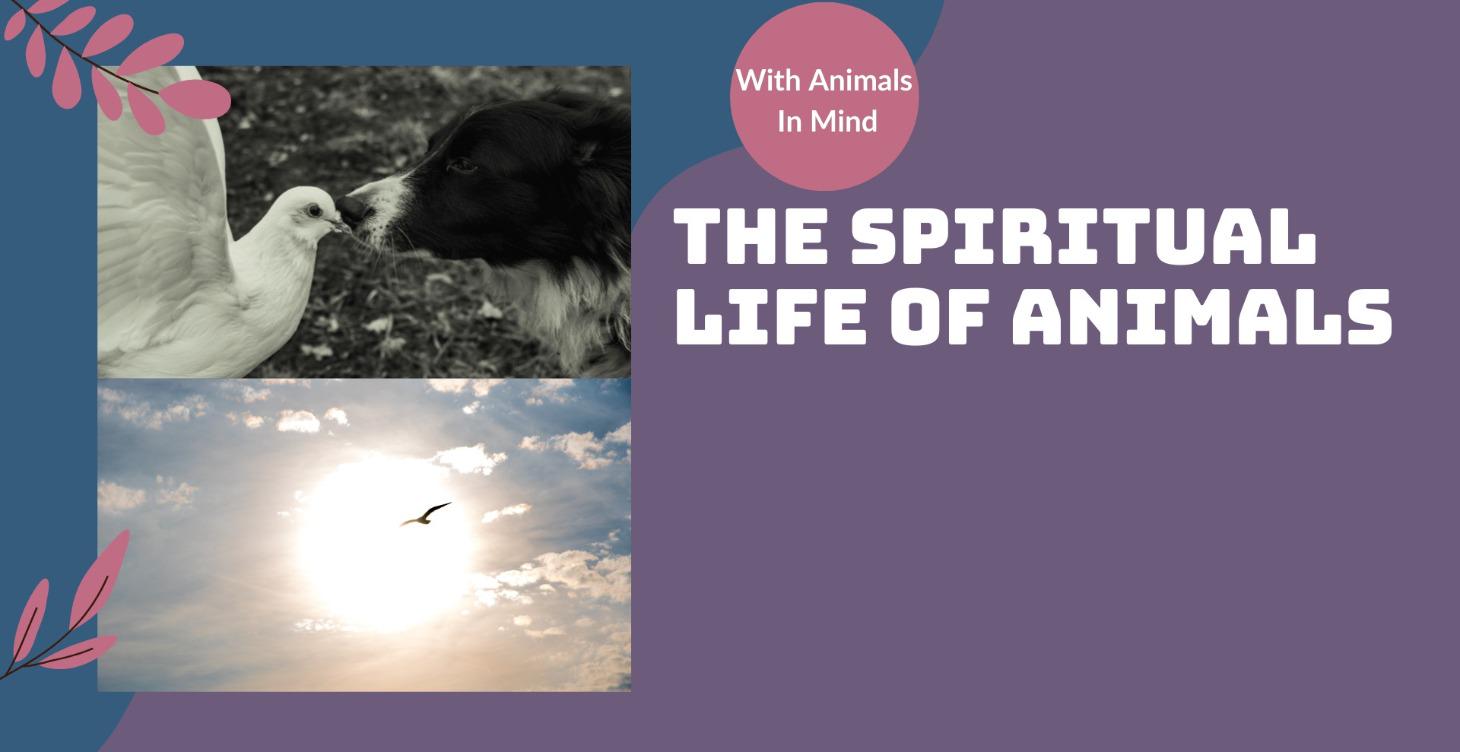 The Spiritual Life of Animals