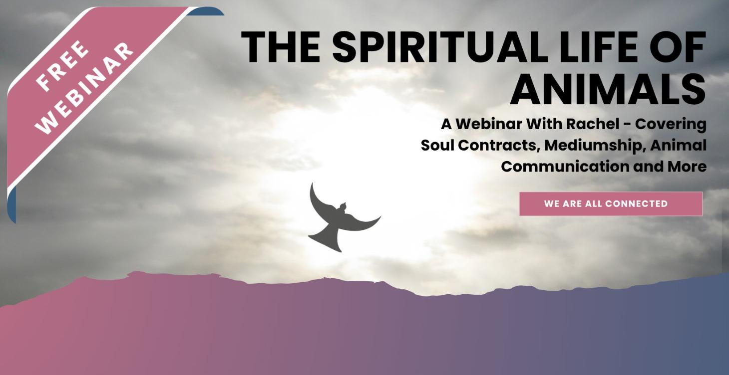 The Spiritual Life of Animals