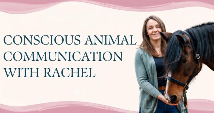 With Animals In Mind