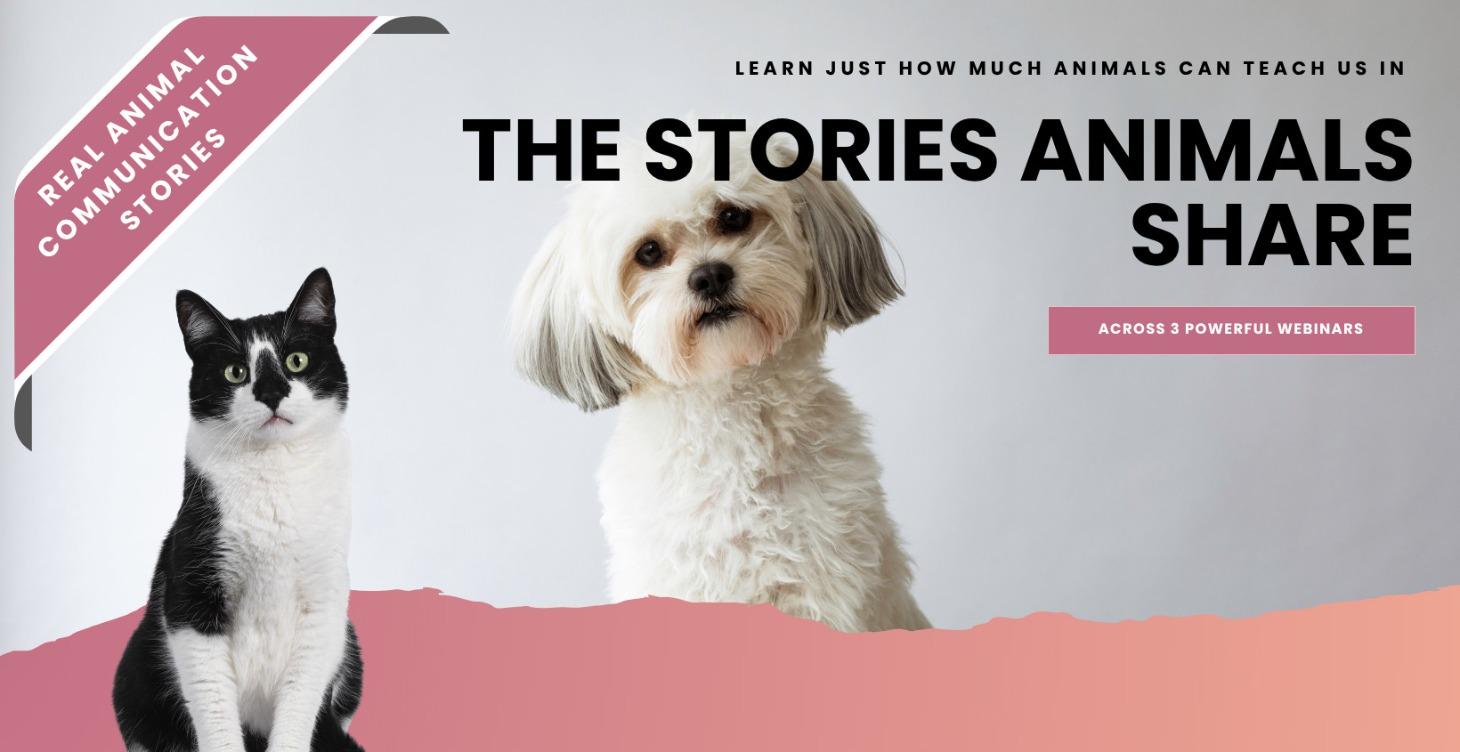 The Stories Animals Share - Webinar Series