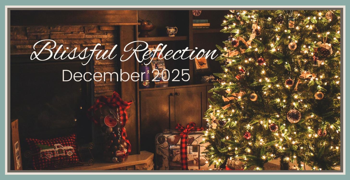 Blissful Reflection--December 2025
