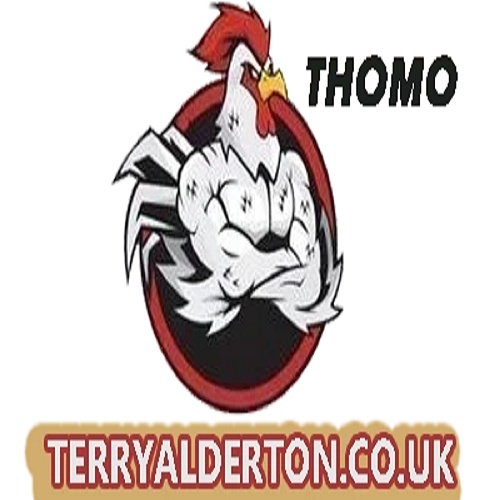 Đá gà trực Tiếp vin