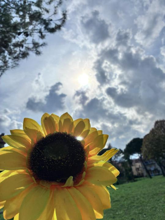 𝕾𝖙𝖆𝖗 Star