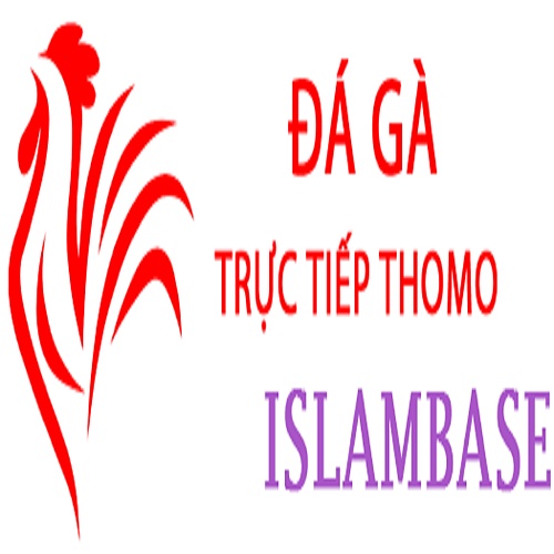 Đá Gà Trực Tiếp Thomo