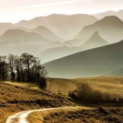 Franck Poitevin