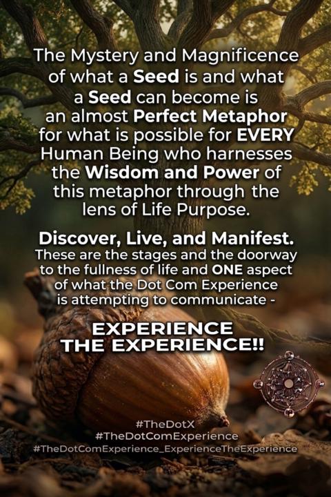 The Seed Metaphor 