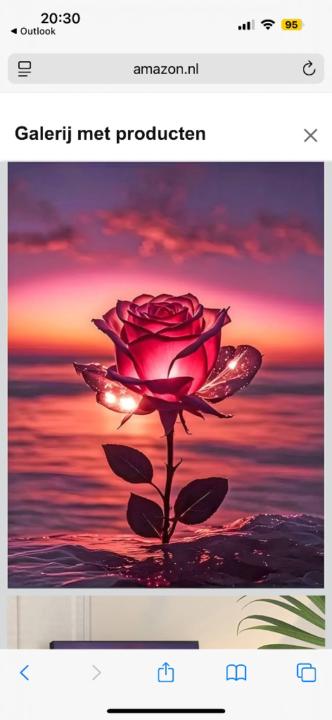 Miranda Van der veen