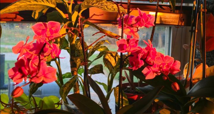 Come plant with me🌿