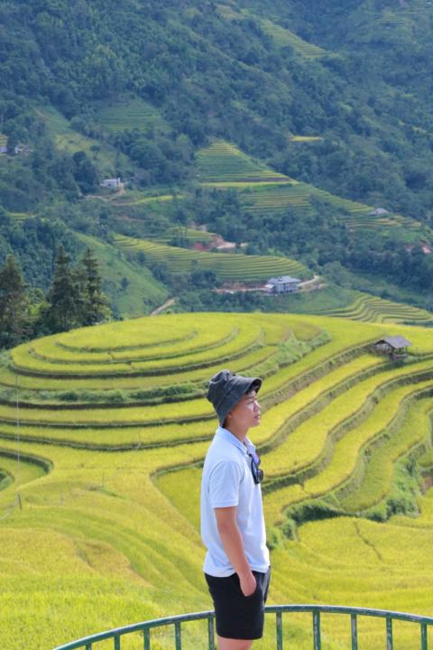 Hoang Vuong