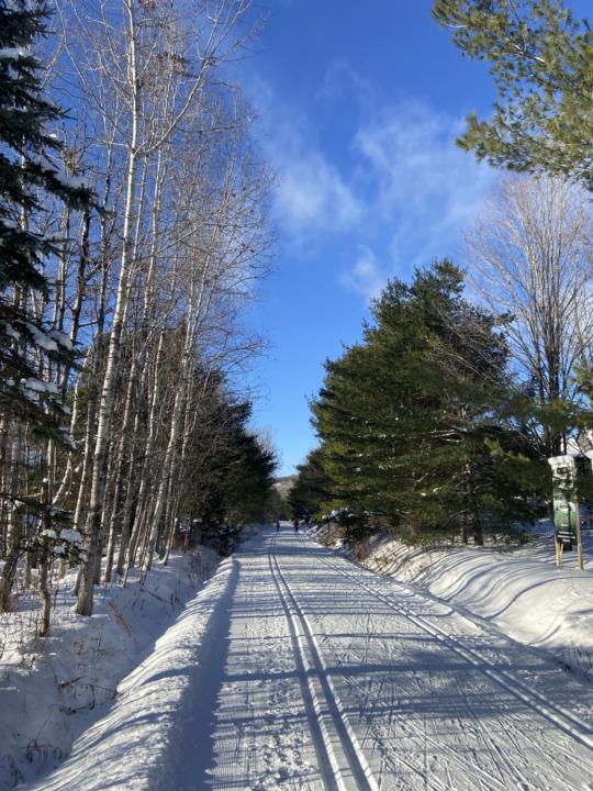 A New Environment + Opportunities