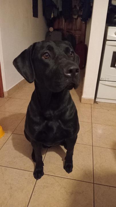Juliam Lautaro Della Cha