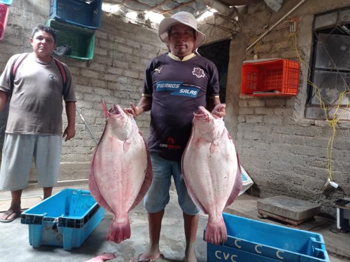 Erik Rodríguez salvador