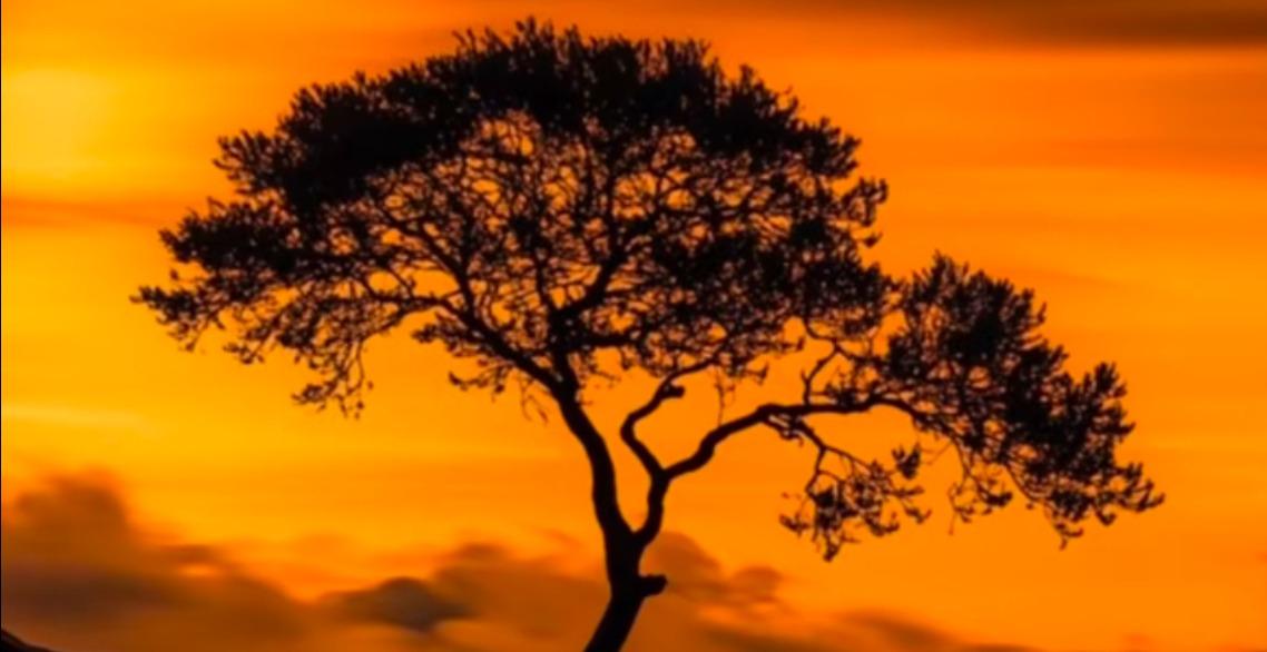 Prophetic Declarations